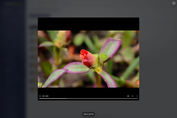 Video preview lightbox in admin portal